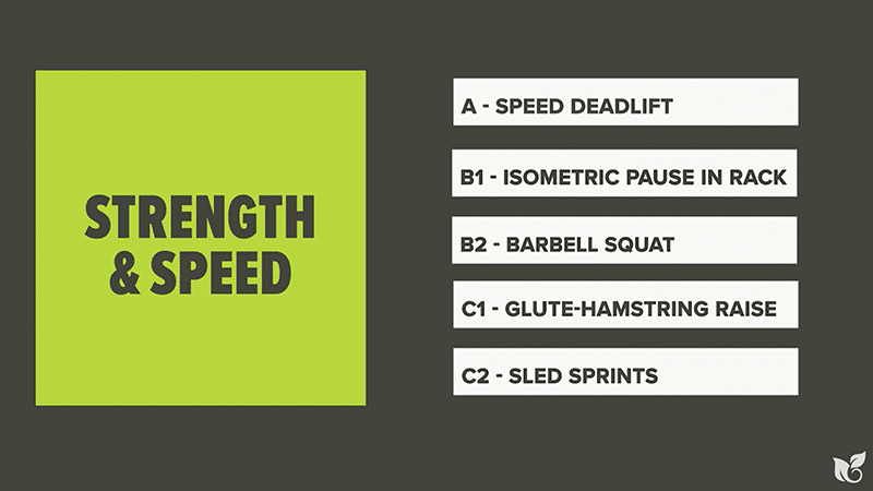 Chart of sample workout from the strength and speed microcycle.