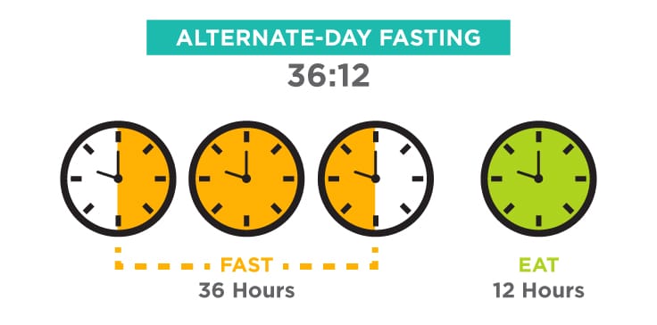 Intermittent Fasting A Beginner s Guide To Time Restricted Feeding 