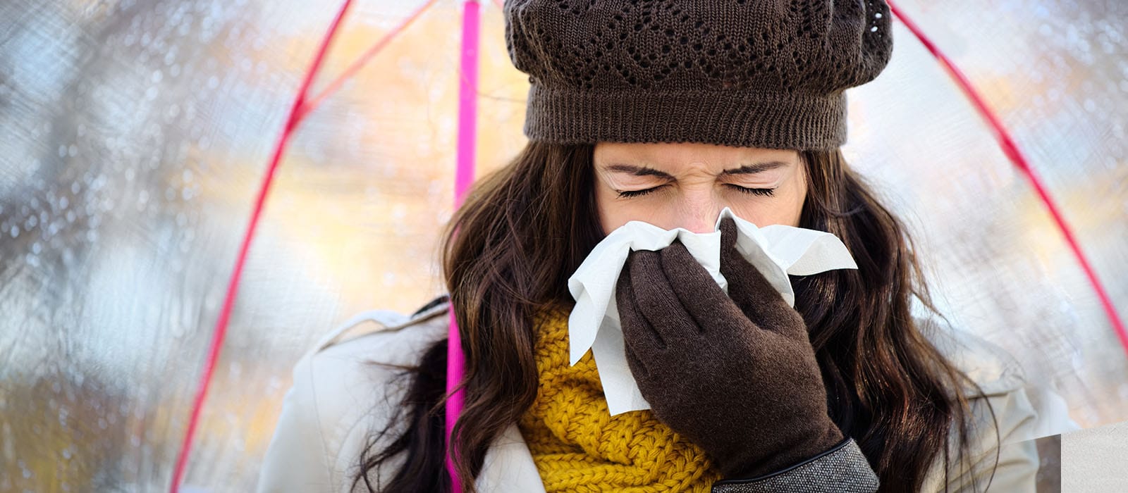 7 Foods to Keep You Healthy During Cold and Flu Season