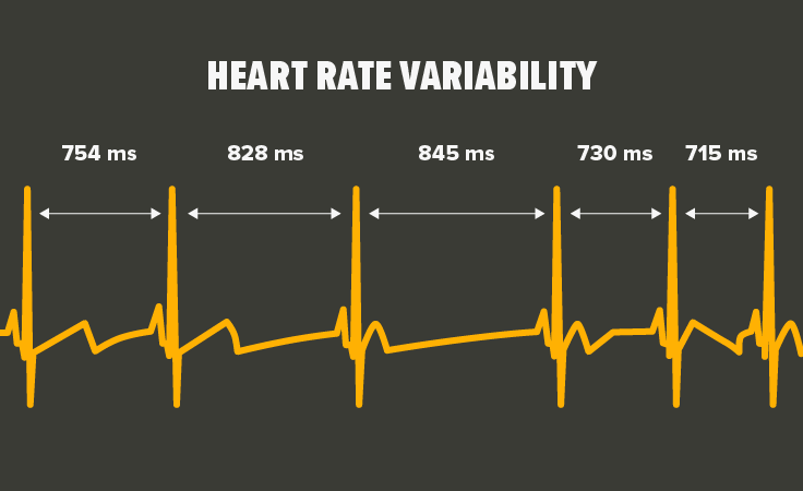 A beginner's guide to heart rate variability 