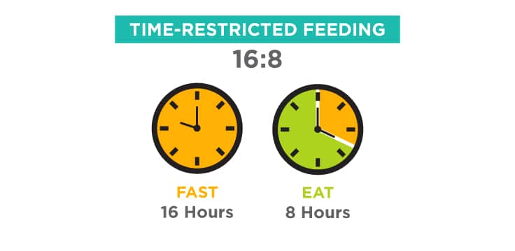 Time-restricted fasting guide