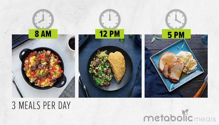 Eat 3 meals per day at 8 am, 12 pm, and 5 pm