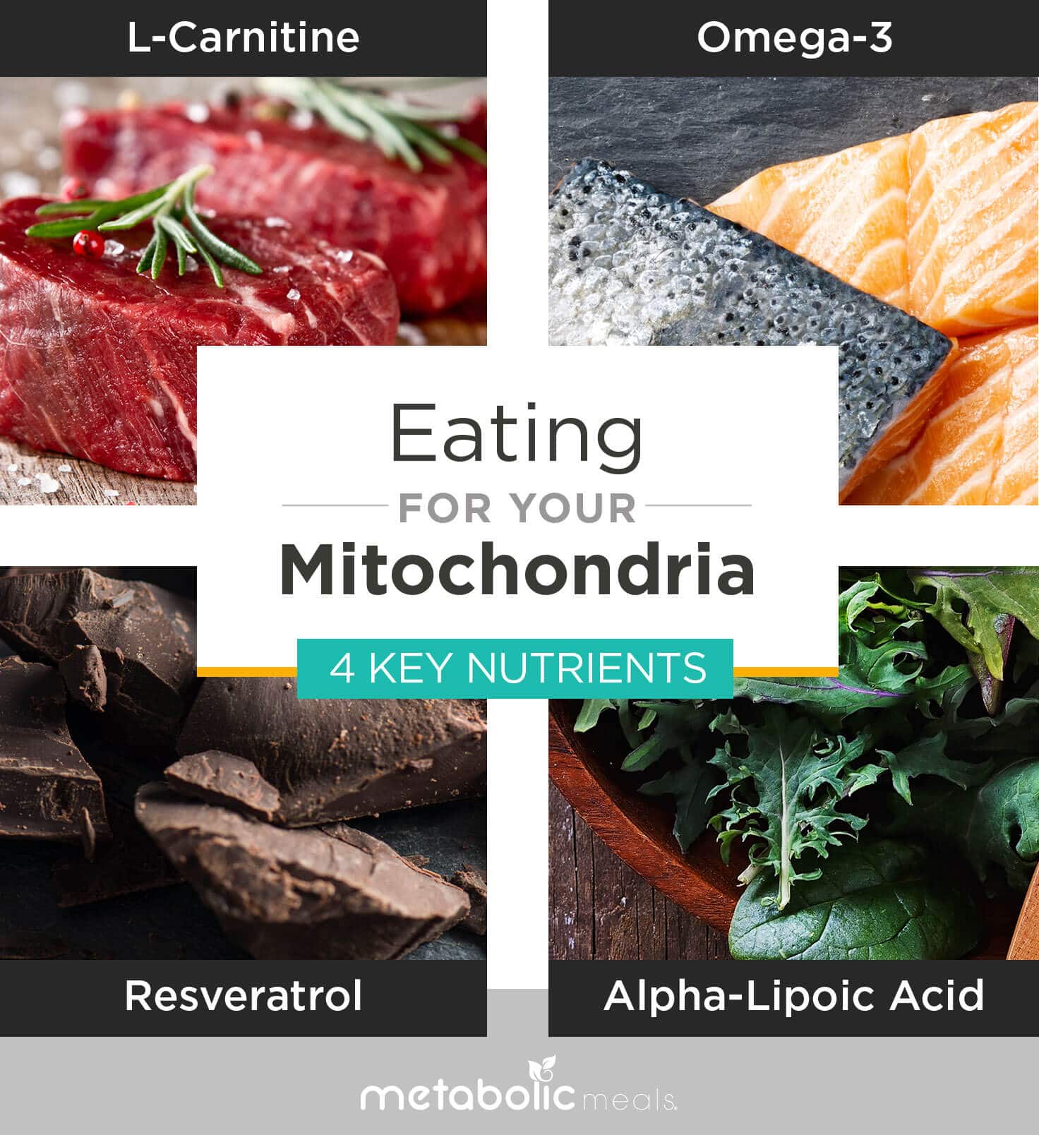 Eating for Your Mitochondria: 4 Key Nutrients. L-Carnitine, Omega-3, Resveratrol, Alpha-Lipoic Acid
