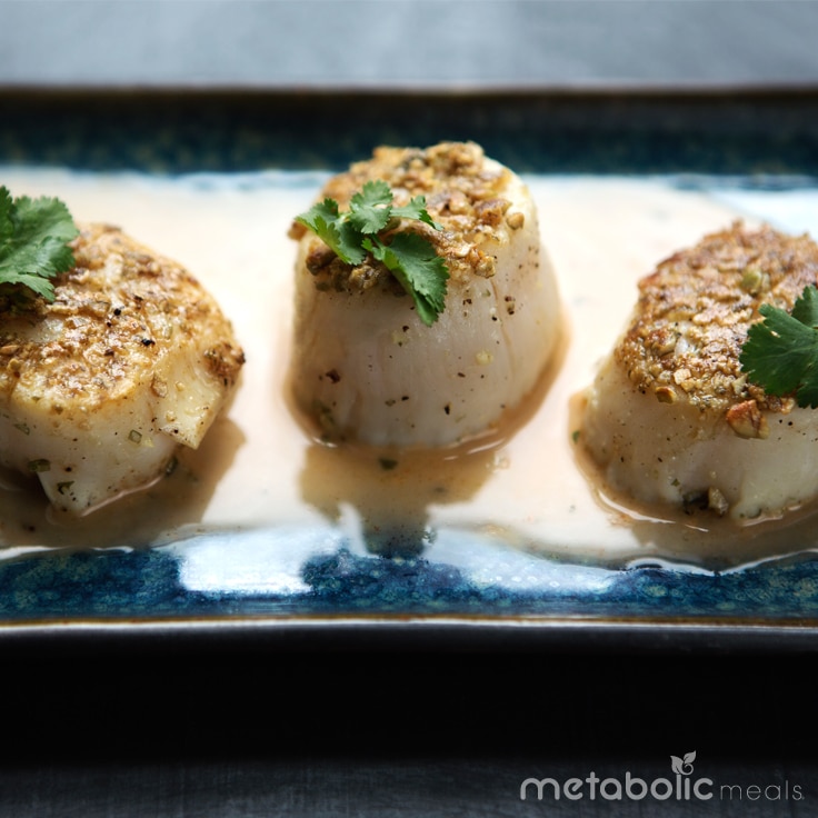 scallops-footer